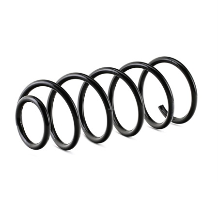RIDEX 188C0045 Fjærer VW Lupo 6x1 1.0 50 hk AHT