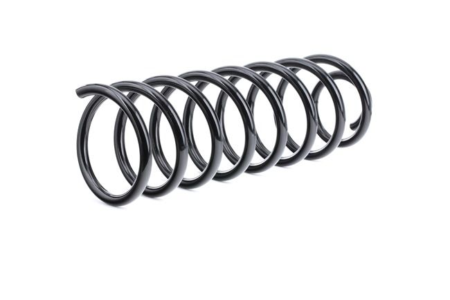 SAAB RIDEX Spiralfjädrar 188C0289