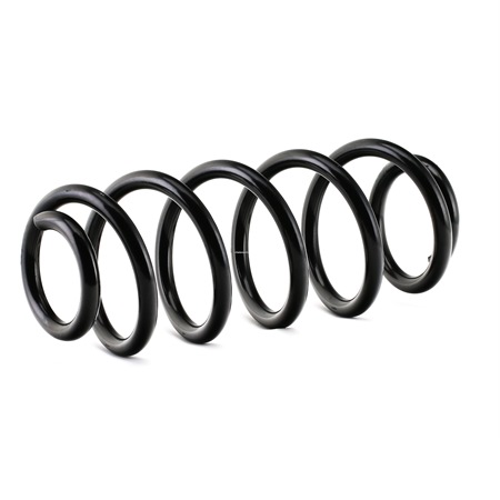 RIDEX 188C0080 Rugó Passat B5 2.8 193 PS ATQ