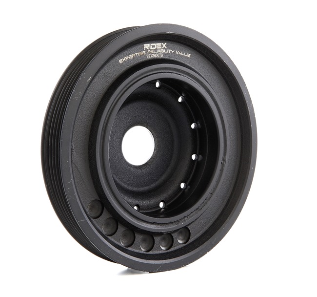 RIDEX 3213B0079 Krumtap-remskive DACIA Duster SUV 1.6 16V LPG 105 HK K4M 642