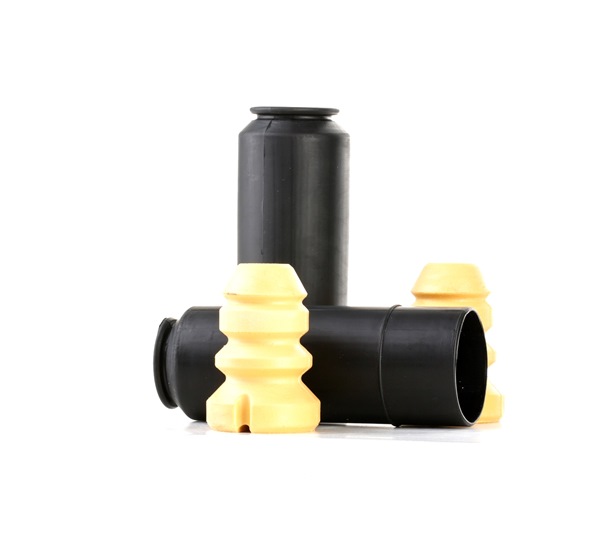 RIDEX 919D0029 Blattfeder 118i 2.0 170 PS N43 B20 A