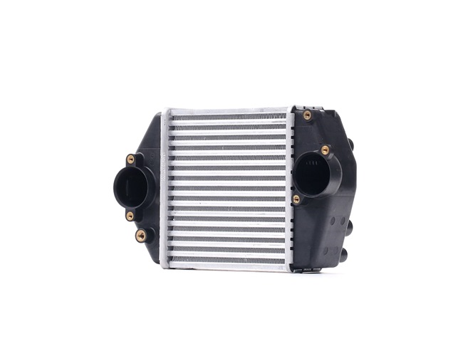 RIDEX 468I0033 Ladeluftkühler (LLK) Mazda 2 MPV 2.0 DI 136PS 2003