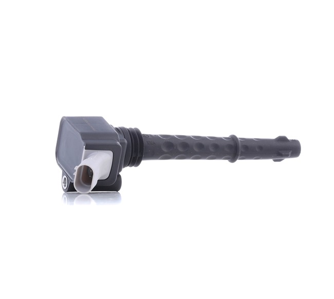 FIAT RIDEX Zündspuleneinheit 689C0015