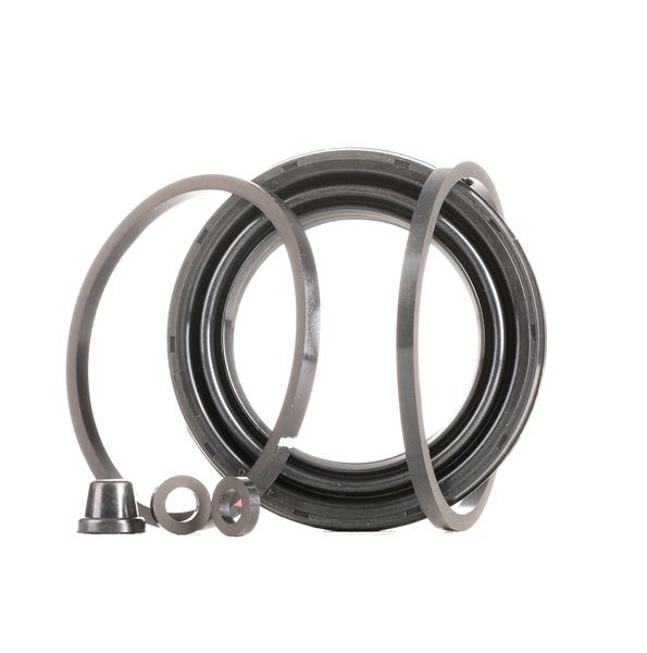 RIDEX 405R0089 ABS ring 2.4 D 69 Pk 1S