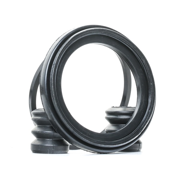 ALPINE RIDEX Reparationssats bromsok 405R0082