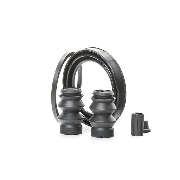 DS RIDEX Revisieset remklauw 405R0042