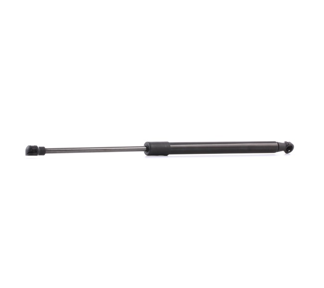 RIDEX 219G0160 Heckklappendämpfer BMW E81 120i 163 PS N43 B20 A
