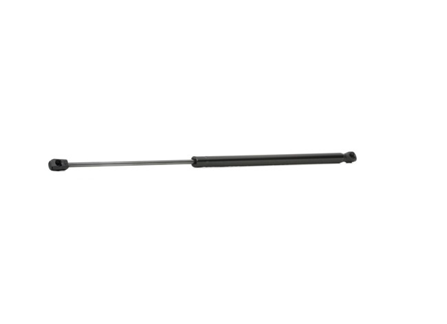 RIDEX 219G0319 Tailgate struts Skoda Octavia Mk2 1.8 TSI 152 hp CDAB