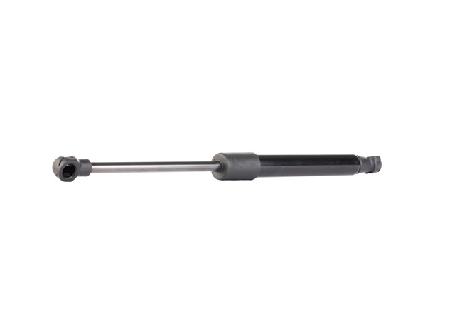 VAUXHALL RIDEX Amortiguadores puerta trasera 219G0247