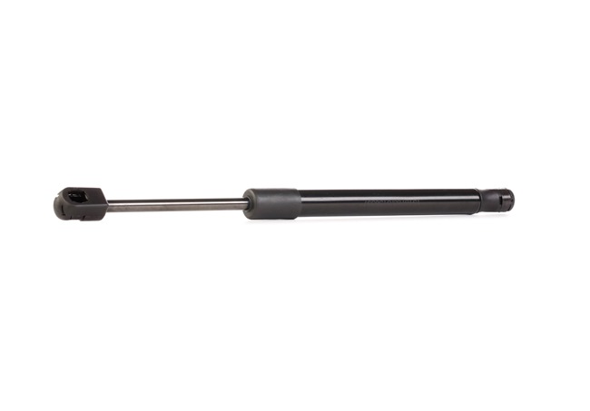 219G0217 Gasfjeder, kuffert- / lastrum på begge sider, 315mm fra RIDEX 844302F000, 844302F010 kob billige