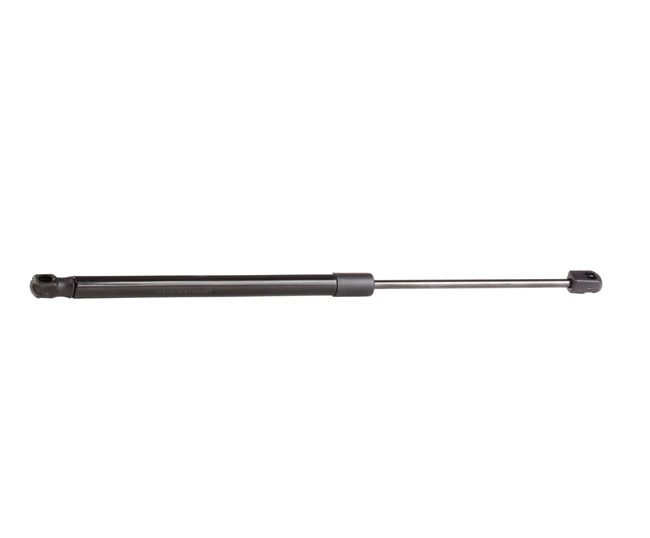 MITSUBISHI RIDEX Amortizor hayon 219G0219