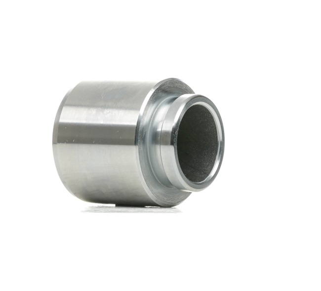 2248P0008 RIDEX Zuiger, remklauw prijs