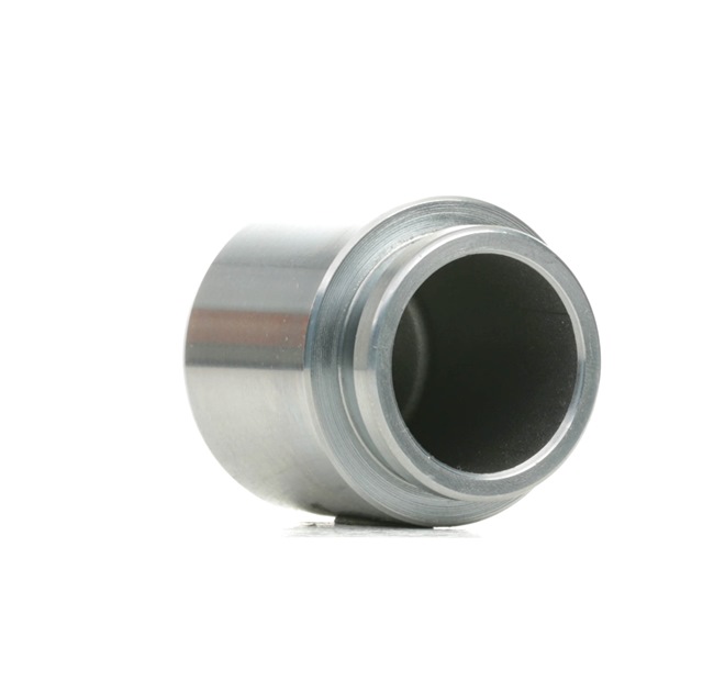 RIDEX 2248P0005 Piston etrier frana Mitsubishi Pajero V60 3.8 (V67W) 250 CP 6G75