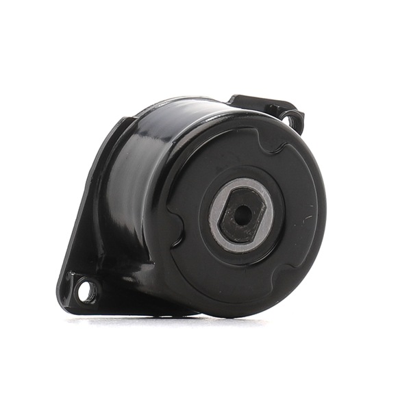 BMW RIDEX Remstrammer 541V0042