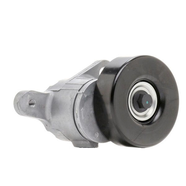 RIDEX 310T0204 Steuerkette 2.0 D 4WD (CLA20_, CLA21_) 116PS 2005