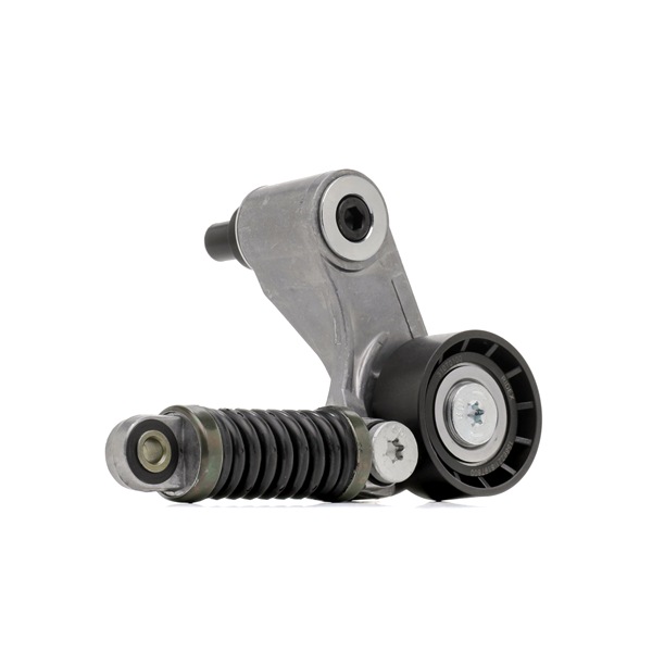 RIDEX 310T0100 Polea tensora Renault Megane Scenic 1.9 dTi 98 cv F9Q 734
