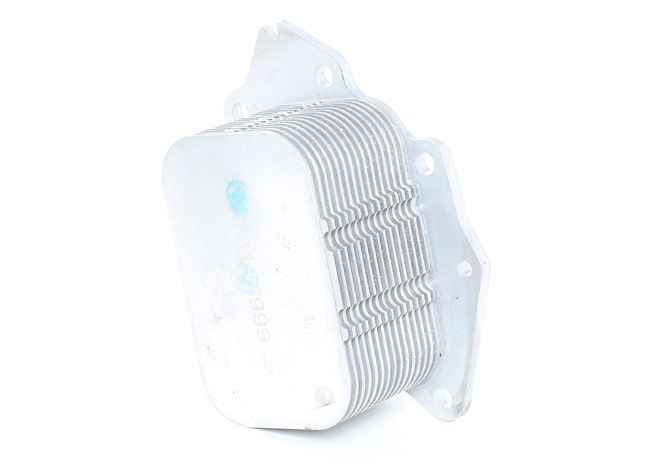 MINI STARK Motore SKOC-1760031