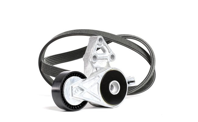 DAYCO KPV261 Keilrippenriemensatz Audi A3 8L 1.8 T 150 PS AUM