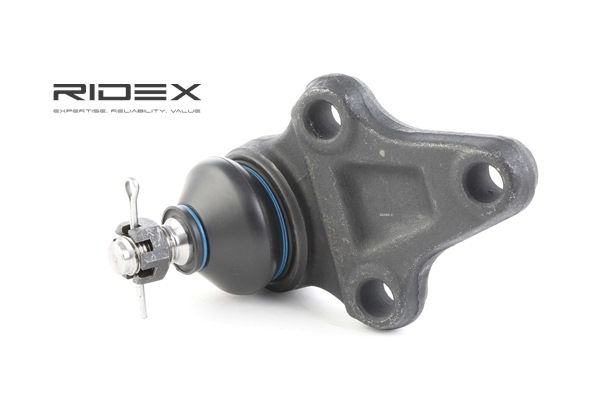 SUZUKI RIDEX Pallonivel 2462S0154
