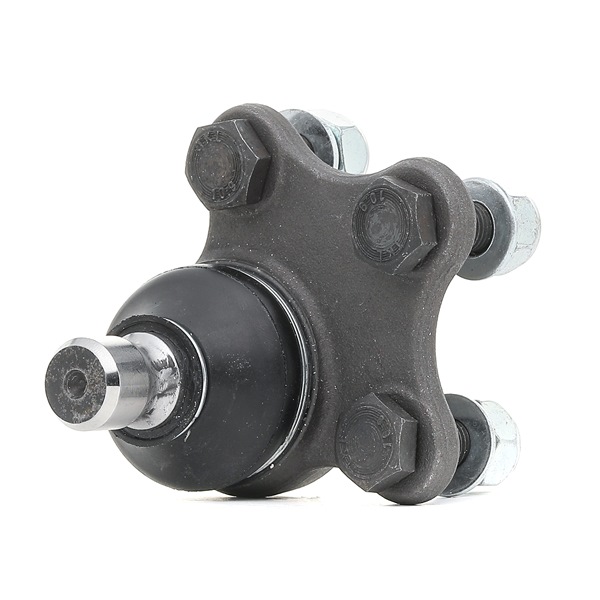 FORD RIDEX Fuseekogel 2462S0058