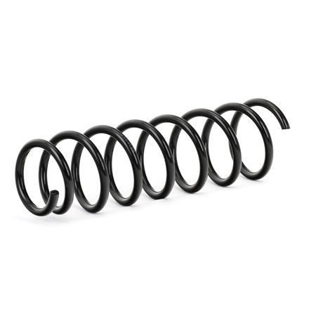 BMW STARK Arcuri elicoidale SKCS-0040351