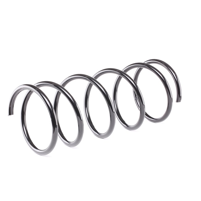 RIDEX 188C0069 Jousi Ford Focus dnw 1.8 TDCi 100 hv FFDA