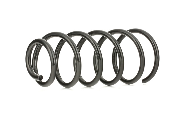 RIDEX 188C0076 Rugó VW Bora 1j2 2.0 115 PS CFEA