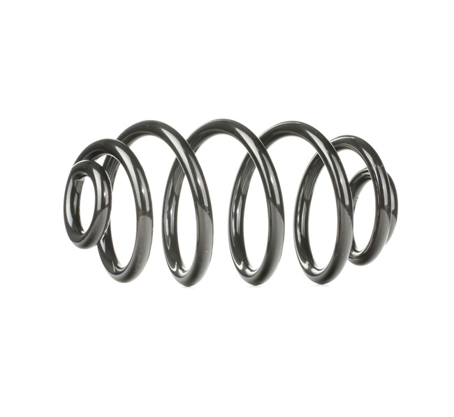 RIDEX 188C0286 Rugó Passat 3B5 1.6 101 PS ARM