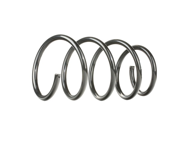 RIDEX 188C0121 Molas de suspensão Renault Scenic 1 1.9 D (JA0J, FA0J) 64 cv F8Q 788