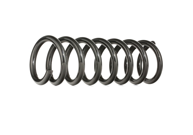 RIDEX 188C0338 Leaf spring E 320 CDI (210.026) 197 hp OM 613.961