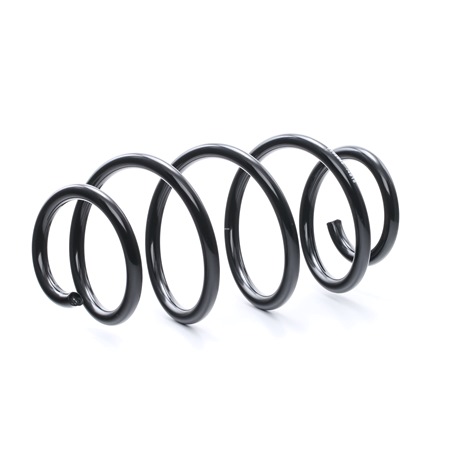 RIDEX 188C0265 Rugó Audi A3 8P1 2.0 TDI 170 PS BMN