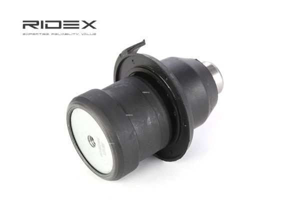 DODGE RIDEX Opphengskule 2462S0158