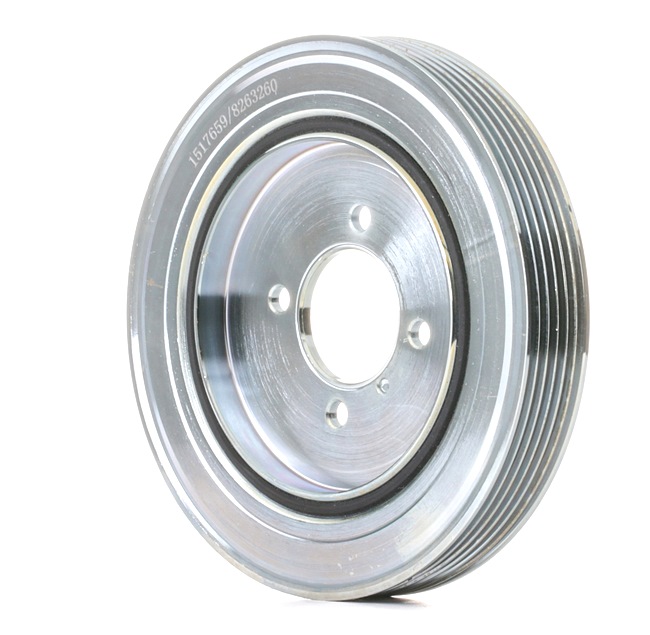 RIDEX 3213B0084 Kamaxeldrev 1.9 TD 69 hk WJY (DW8B)