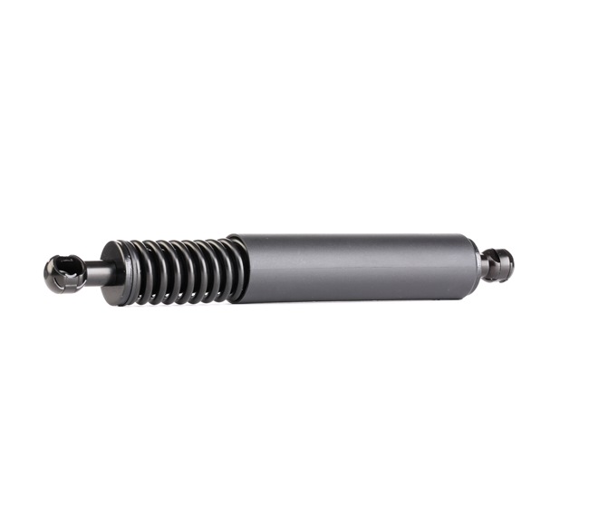 RIDEX 219G0493 Tailgate struts Porsche Cayenne 955 GTS 4.8 405 hp M 48.01