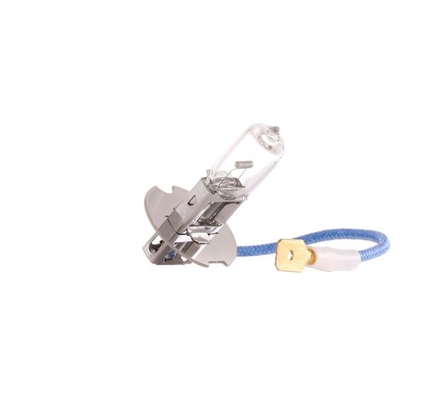TESLA B10301 Gloeilamp mistlicht Passat 3B6 2.8 4motion 190 Pk BBG