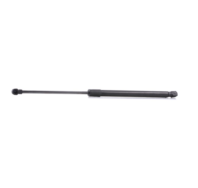 RIDEX 219G0540 Takaluukun lukko 1.6 Total Flex 101 hv BJA