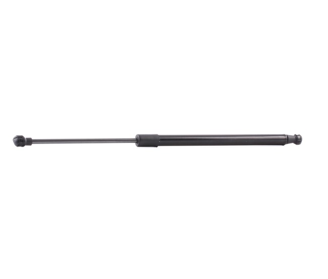 RIDEX 219G0463 Takaluukun kaasujousi Renault Megane Scenic 2.0 RXE 4x4 114 hv F3R 750