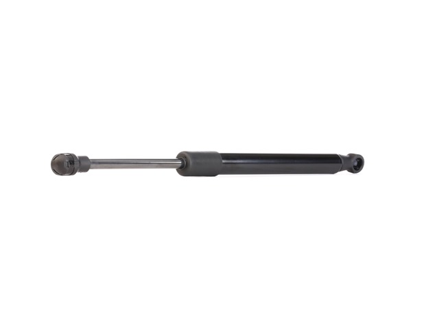 219G0604 Kaasujousi 298mm RIDEX 9485706 ostaa halvat