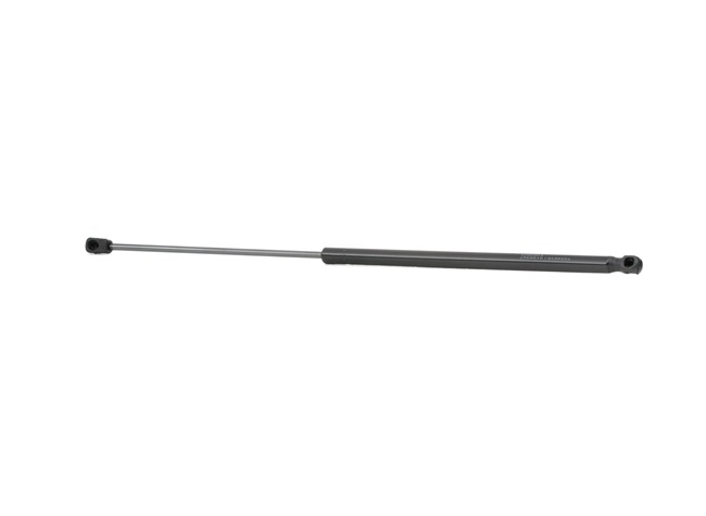 RIDEX 219G0430 Heckklappendämpfer VW T4 2.0 84PS 1999