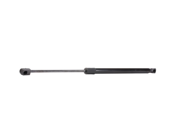 RIDEX 219G0413 Heckklappendämpfer Renault 19 I 1.7 90PS 1992
