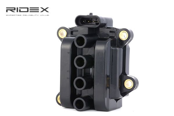 DACIA RIDEX Tændspole 689C0284
