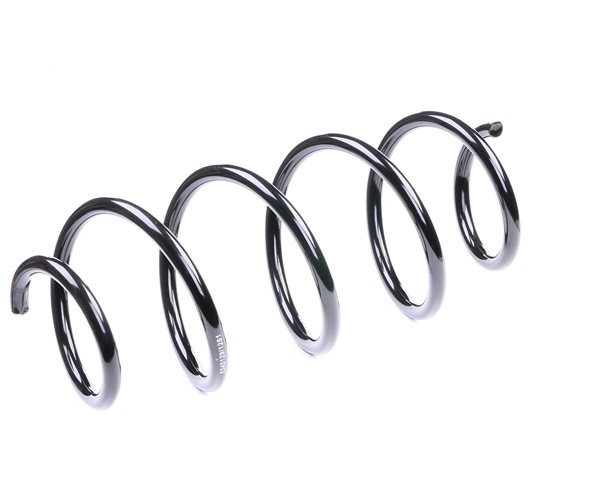 RIDEX 188C0295 Fjærer VW Jetta 1k2 1.9 TDI 105 hk BXE