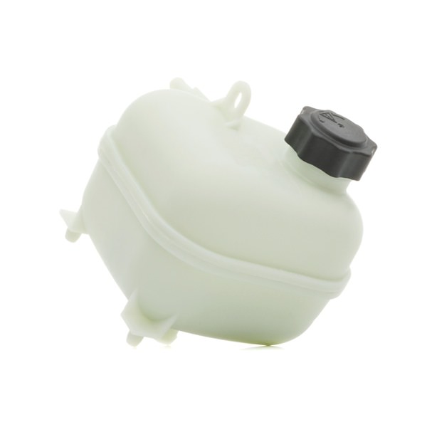 RIDEX 397E0023 Paisuntasäiliö Mini r52 Cooper S 170 hv W11 B16 A
