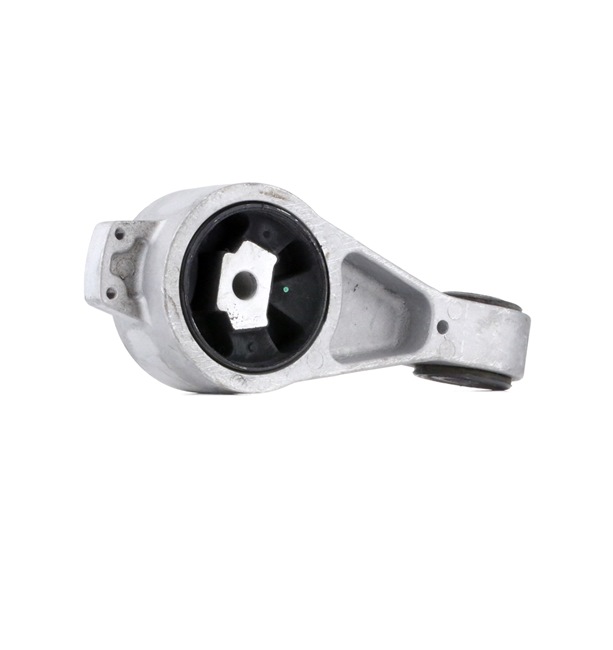 TEDGUM 00133209 Fasce elastiche 2.4 182 CV EDV