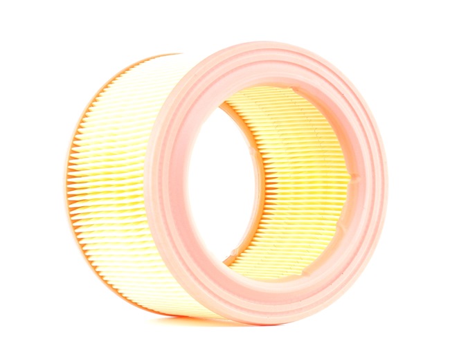 AUTOMEGA 180029810 Luftfilter Peugeot 205 2 1.6 Aut. 88 hk BDY (XU5M2Z)