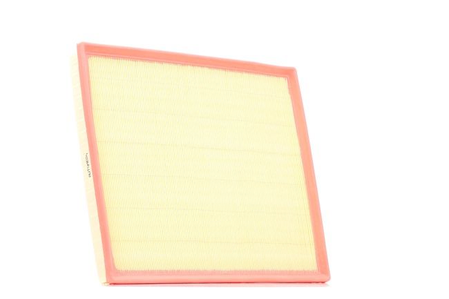 AUTOMEGA 180032810 Luftfilter Ford Transit Custom Minibuss 2.2 TDCi 125 hk CYF4