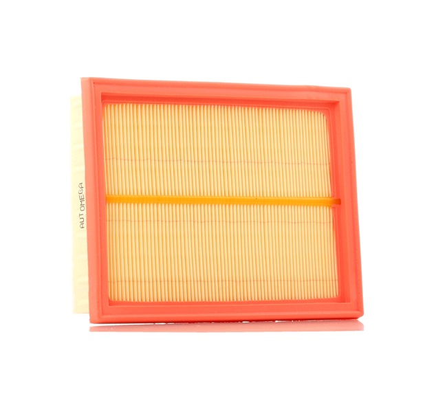 AUTOMEGA 180074010 Sportluftfilter 1.4 D One 75PS 2003