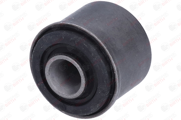 BIRTH 2439 Lagerung, Lenker Renault Scenic 1 1.9 dCi RX4 101 PS