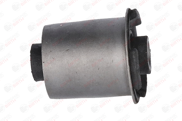 BIRTH 2447 Silent bloc d'essieu Renault Scenic 1 1.9 dCi RX4 102CV 2003