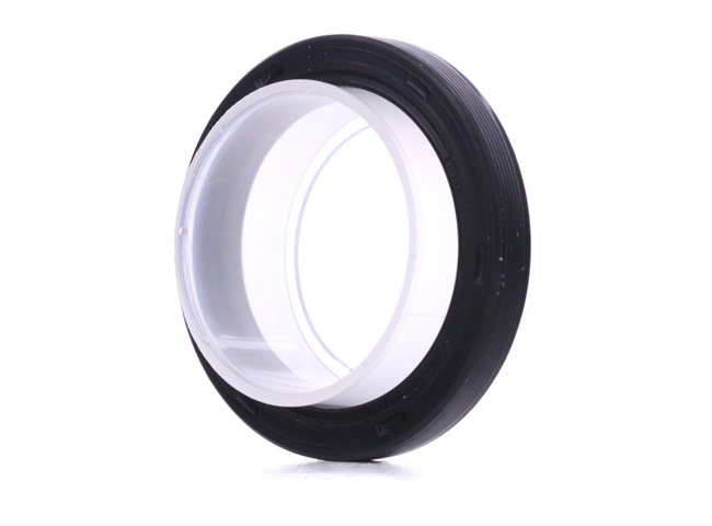 ELRING 248.300 Afdichting schuifdak 1.8 TSI 152 Pk CGYA